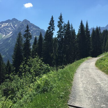 Zwölfer und Elfer