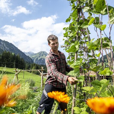 A man is working in a garden with blooming flowers and a green field in the background. The mountains are visible under a blue sky. | © Kleinwalsertal Tourismus | Dominik Berchtold