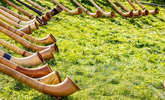 A series of alphorns lies on green grass. The horns are made of wood and have a typical, curved shape. | © Kleinwalsertal Tourismus | Frank Drechsel
