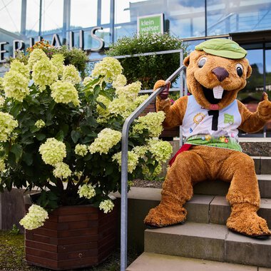 A large, friendly mascot sits on a staircase in front of a building. Next to it stands a flowering shrub with white flowers. | © Kleinwalsertal Tourismus | Oliver Farys
