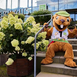 © Kleinwalsertal Tourismus | Oliver Farys Ein großer, freundlicher Maskottchen sitzt auf einer Treppe vor einem Gebäude. Neben ihm steht ein blühender Strauch mit weißen Blumen. | © Kleinwalsertal Tourismus | Oliver Farys