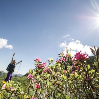 A hiker stands amidst colorful flowers under bright sunlight. The sky is blue with a few clouds. | © Kleinwalsertal Tourismus | Dominik Berchtold