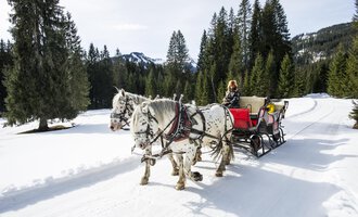 A horse-drawn sleigh is traveling through a snow-covered landscape with tall pines. In the background, mountains and a blue sky can be seen. | © Kleinwalsertal Tourismus | Dominik Berchtold