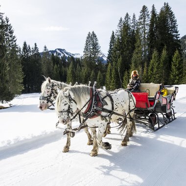 A horse-drawn sleigh is traveling through a snow-covered landscape with tall pines. In the background, mountains and a blue sky can be seen. | © Kleinwalsertal Tourismus | Dominik Berchtold
