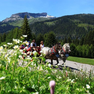 A carriage with horses drives past colorful flowers and green trees. In the background, mountains and a clear blue sky can be seen. | © Kleinwalsertal Tourismus