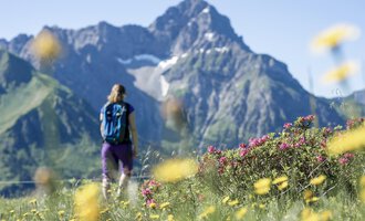 A person walks through a blooming meadow with colorful flowers. In the background, majestic mountains rise under a clear blue sky. | © Kleinwalsertal Tourismus eGen