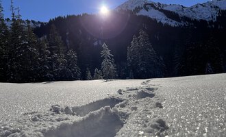 A snowy landscape with footprints in the snow. In the background, trees and mountains are visible under a clear sky. | © Kleinwalsertal Tourismus eGen | Ken Gibson