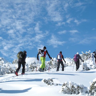 A group of people is hiking through a snowy landscape. The sky is clear and blue, while the scene is surrounded by snow-covered trees. | © Kleinwalsertal Tourismus | Frank Drechsel