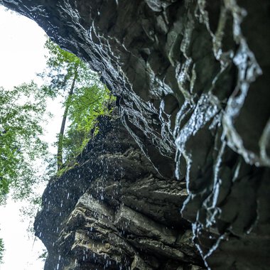 Eine imposante Felsformation mit Wasserfall, umgeben von grünen Bäumen. Der Blick ist nach oben gerichtet, der Himmel ist bewölkt. | © Breitachklammverein eG | Dominik Berchtold