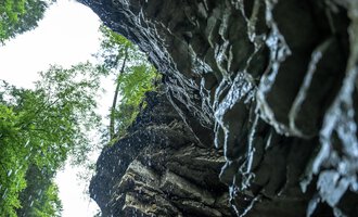 Eine imposante Felsformation mit Wasserfall, umgeben von grünen Bäumen. Der Blick ist nach oben gerichtet, der Himmel ist bewölkt. | © Breitachklammverein eG | Dominik Berchtold