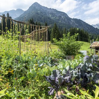 © Kleinwalsertal Tourismus | Dominik Berchtold A lush garden with various plants and vegetables, surrounded by mountains. The sky is clear and the natural setting is green and inviting. | © Kleinwalsertal Tourismus | Dominik Berchtold