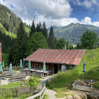 A cozy mountain hut with a red roof and green sun umbrellas. In the background, green hills and mountains can be seen under a clear sky. | © Alpe Widderstein | Tom Egger