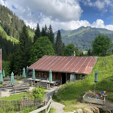 A cozy mountain hut with a red roof and green sun umbrellas. In the background, green hills and mountains can be seen under a clear sky. | © Alpe Widderstein | Tom Egger