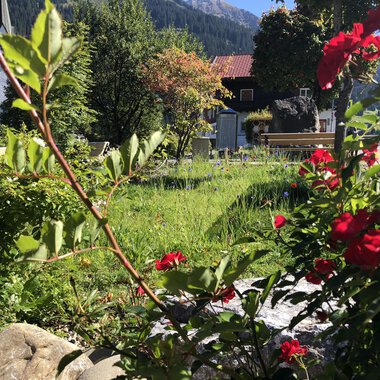 A beautiful garden with colorful flowers and fresh greenery. In the background, there are trees and a house with mountains visible. | © Kleinwalsertal Tourismus | Louisa Hieke