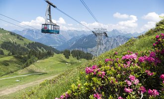 A cable car glides over green meadows with blooming rhododendrons. In the background, majestic mountains and a blue sky can be seen. | © OBERSTDORF · KLEINWALSERTAL BERGBAHNEN