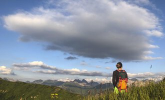 A person is standing in a meadow and looking at the mountains. The sky is blue with some clouds. | © Kleinwalsertal Tourismus | Louisa Hieke