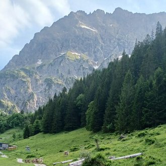 A picturesque alpine meadow with lush greenery and dense forests in the foreground. In the background, impressive mountains rise under a slightly cloudy sky. | © Bernhards Gemstelalp | Bernhard Heim
