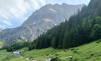 A picturesque alpine meadow with lush greenery and dense forests in the foreground. In the background, impressive mountains rise under a slightly cloudy sky. | © Bernhards Gemstelalp | Bernhard Heim