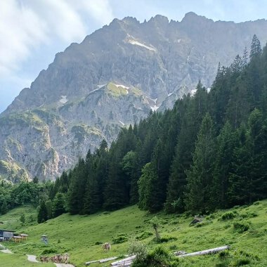 A picturesque alpine meadow with lush greenery and dense forests in the foreground. In the background, impressive mountains rise under a slightly cloudy sky. | © Bernhards Gemstelalp | Bernhard Heim