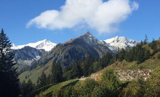 An impressive mountain landscape with snow-capped peaks and a clear sky. Green forests and meadows surround the mountains. | © Gasthof Café Alpenwald | Thorsten Alpenwald