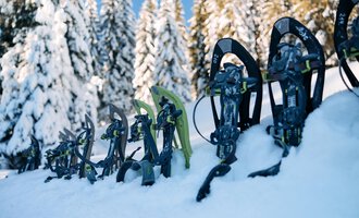 A series of snowshoes stands in the snow, surrounded by snow-covered trees. The sky is clear and blue. | © Kleinwalsertal Tourismus | Oliver Farys