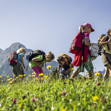 Eine Gruppe von Kindern erkundet eine blühende Wiese in den Bergen. Sie sammeln Blumen und genießen die Natur an einem sonnigen Tag. | © Kleinwalsertal Tourismus | Oliver Farys