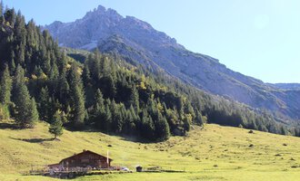 A picturesque alpine landscape with a cozy wooden house and green meadows. In the background, impressive mountains rise under a clear sky. | © Kleinwalsertal Tourismus | Britta Maier
