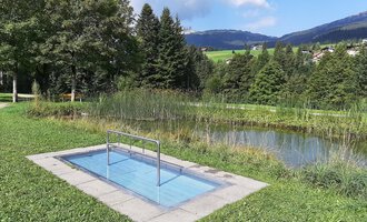 A small pool in a green environment with trees and a calm water surface in the background. The landscape is gently rolling and invites relaxation. | © Kleinwalsertal Tourismus | Veronika Senn
