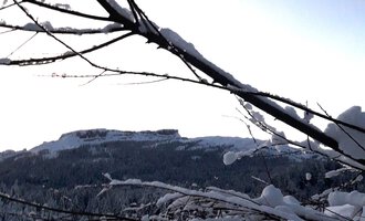 A winter landscape with a snow-covered ground and branches in the middle of the image. In the background, wooded hills and a clear sky can be seen.