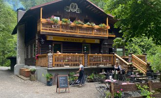 A cozy chalet surrounded by trees. Guests sit on the terrace and enjoy nature. | © Waldhaus | Yvonne Grosse