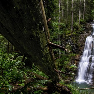 A beautiful waterfall flowing through a dense forest. Surrounded by green plants and tall trees. | © Kleinwalsertal Tourismus | Dominik Berchtold