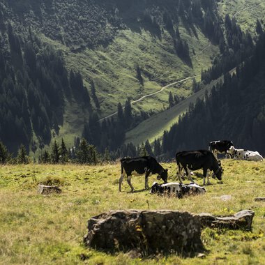 © Kleinwalsertal Tourismus eGen • Photographer: Andre Tappe