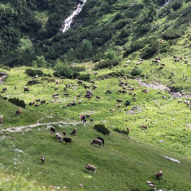 © Kleinwalsertal Tourismus eGen • Photographer: Andre Tappe
