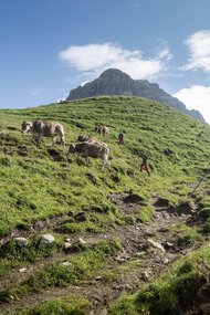 © Kleinwalsertal Tourismus eGen • Photographer: Andre Tappe