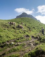 © Kleinwalsertal Tourismus eGen • Photographer: Andre Tappe