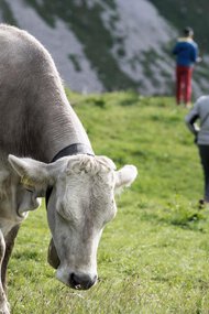 © Kleinwalsertal Tourismus eGen • Photographer: Andre Tappe