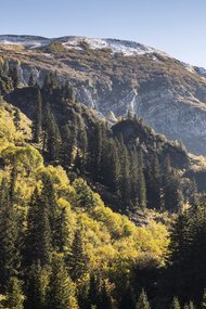© Kleinwalsertal Tourismus eGen • Photographer: Bastian Morell