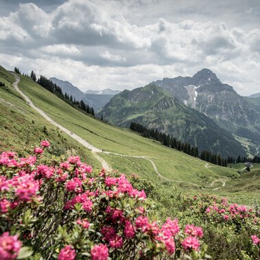 © Kleinwalsertal Tourismus eGen • Photographer: Dominik Berchtold