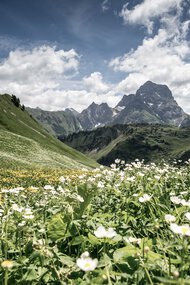 © Kleinwalsertal Tourismus eGen • Photographer: Dominik Berchtold