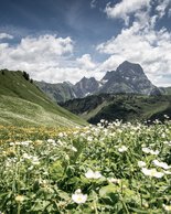 © Kleinwalsertal Tourismus eGen • Photographer: Dominik Berchtold