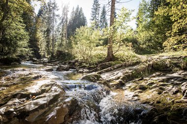 © Kleinwalsertal Tourismus eGen • Photographer: Dominik Berchtold