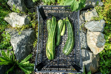 © Kleinwalsertal Tourismus eGen • Photographer: Dominik Berchtold