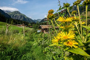 © Kleinwalsertal Tourismus eGen • Photographer: Dominik Berchtold