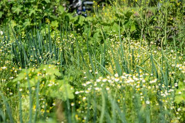 © Kleinwalsertal Tourismus eGen • Photographer: Dominik Berchtold