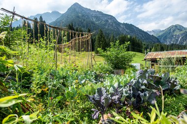 © Kleinwalsertal Tourismus eGen • Photographer: Dominik Berchtold