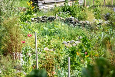 © Kleinwalsertal Tourismus eGen • Photographer: Dominik Berchtold