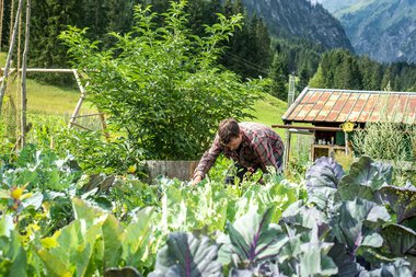 © Kleinwalsertal Tourismus eGen • Photographer: Dominik Berchtold