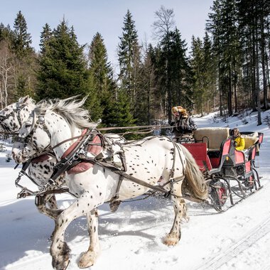 © Kleinwalsertal Tourismus eGen • Photographer: Dominik Berchtold