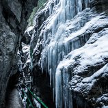 © Kleinwalsertal Tourismus eGen • Photographer: Dominik Berchtold