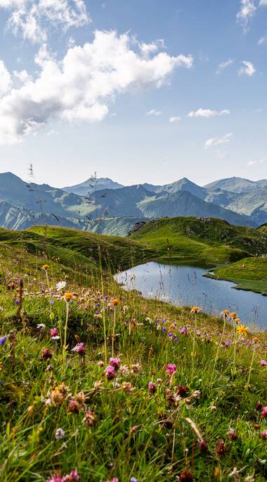 © Kleinwalsertal Tourismus eGen • Photographer: Erika Dürr